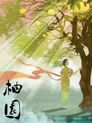 柚园四季作文500字左右