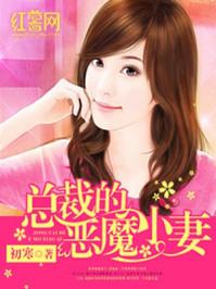 总裁的恶魔小妻全文免费阅读