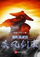 疾风剑豪的意思
