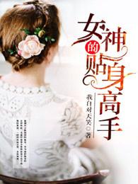 女神的贴身高手有多少集