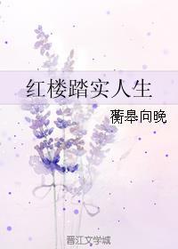 红楼之踏实人生番外