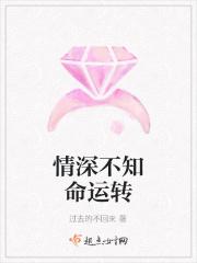 情深不知悔免费阅读全部