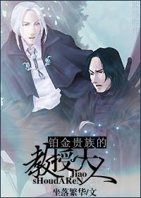 hp之铂金贵族荣耀