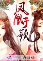 凤凰于飞歌曲原唱是谁