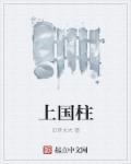 上国柱肩章图片高清大图