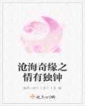 沧海有泪情惘然全文免费阅读