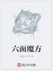 六面魔方还原教程视频新手入门