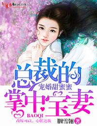 总裁的掌上宝妻