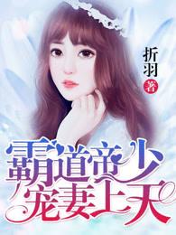 霸道帝少宠妻上瘾