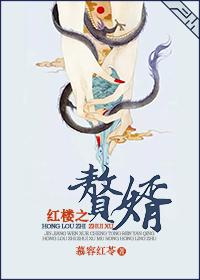 红楼之佳婿