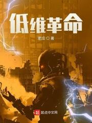 低维革命免费