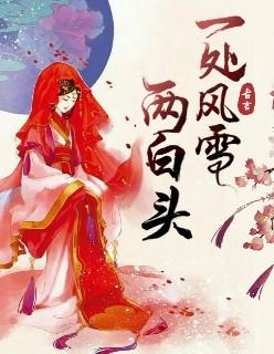 一处风雪两白头免费阅读