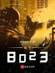 编号802的宝可梦