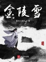 终有一爱 金陵雪